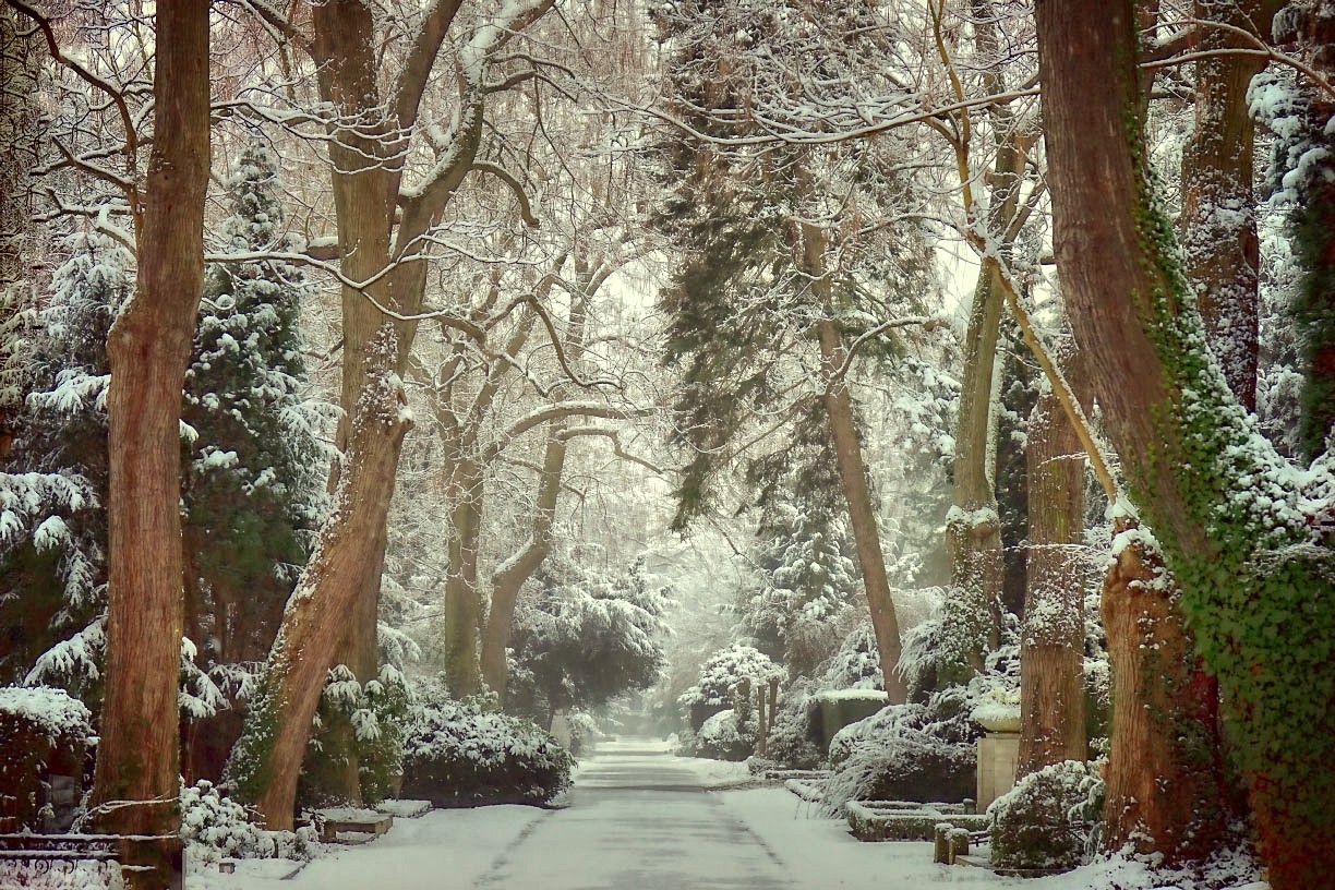 Friedhof im Schnee