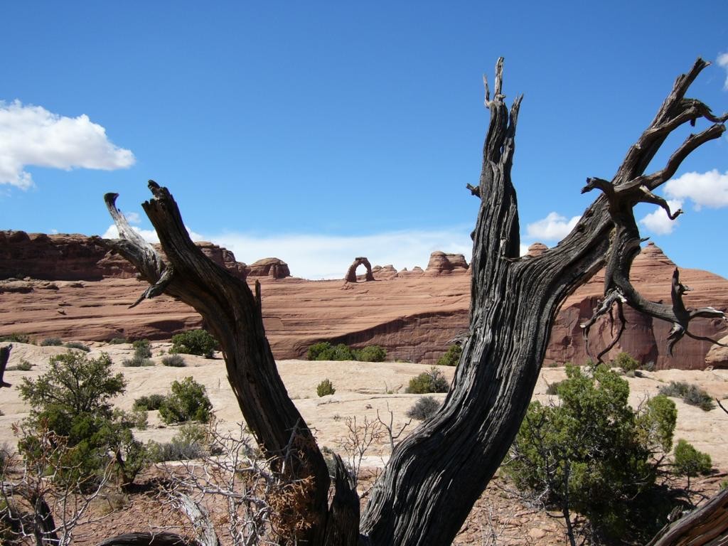 Arches Nationalpark Utah