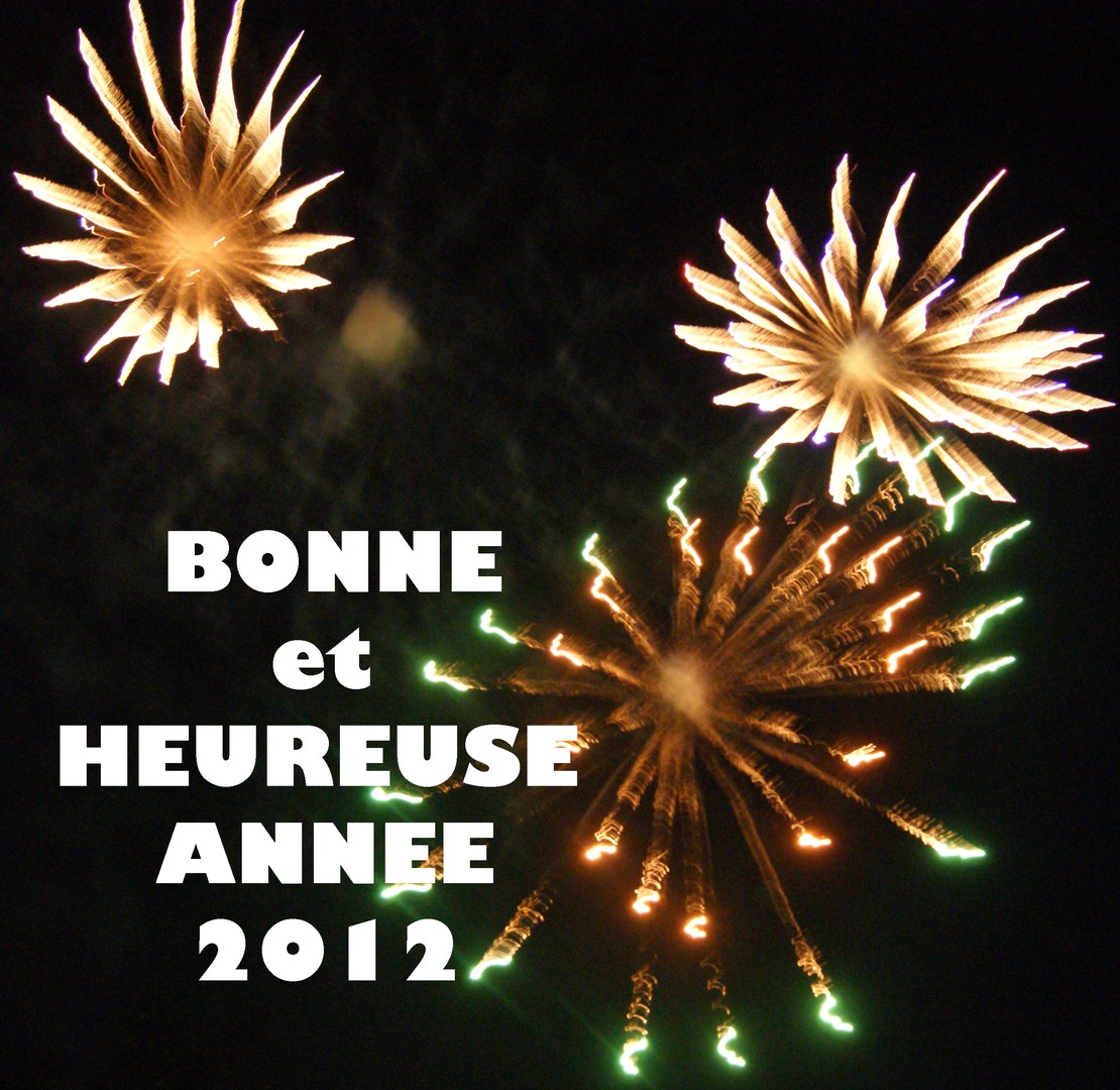 BONNE ANNEE à  TOUS !!!