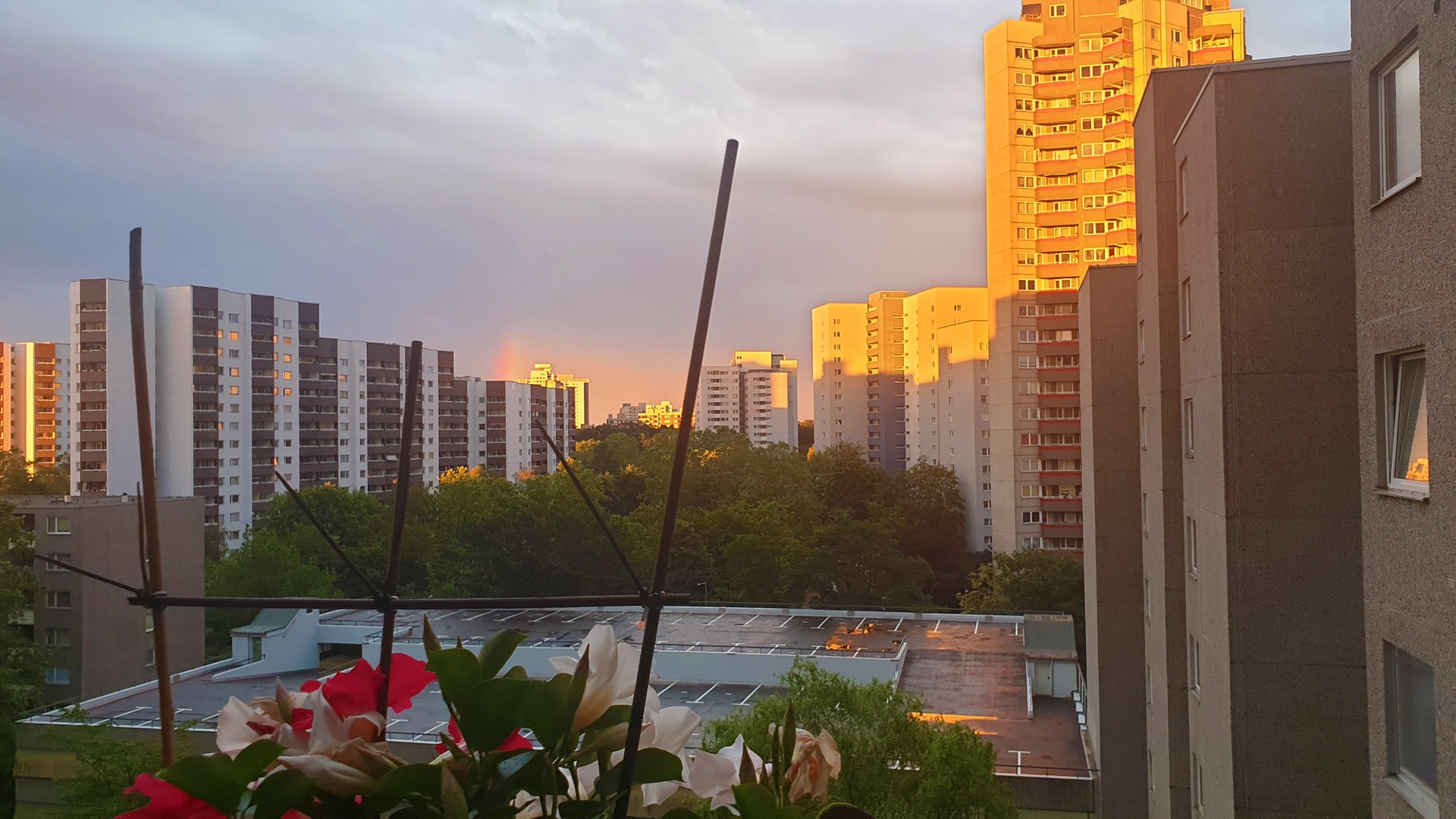 Sonnenuntergang in der Großstadt