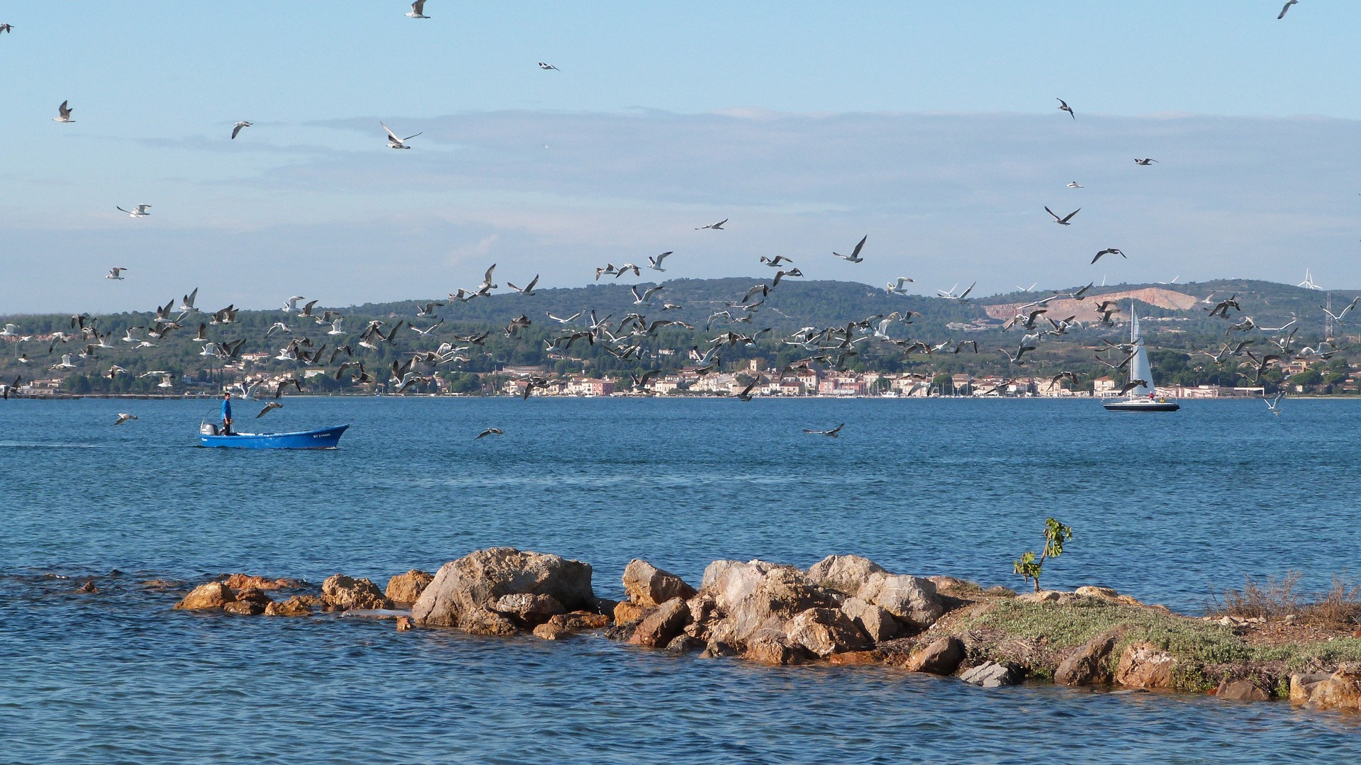 L'hiver arrive doucement sur la Lagune de Thau