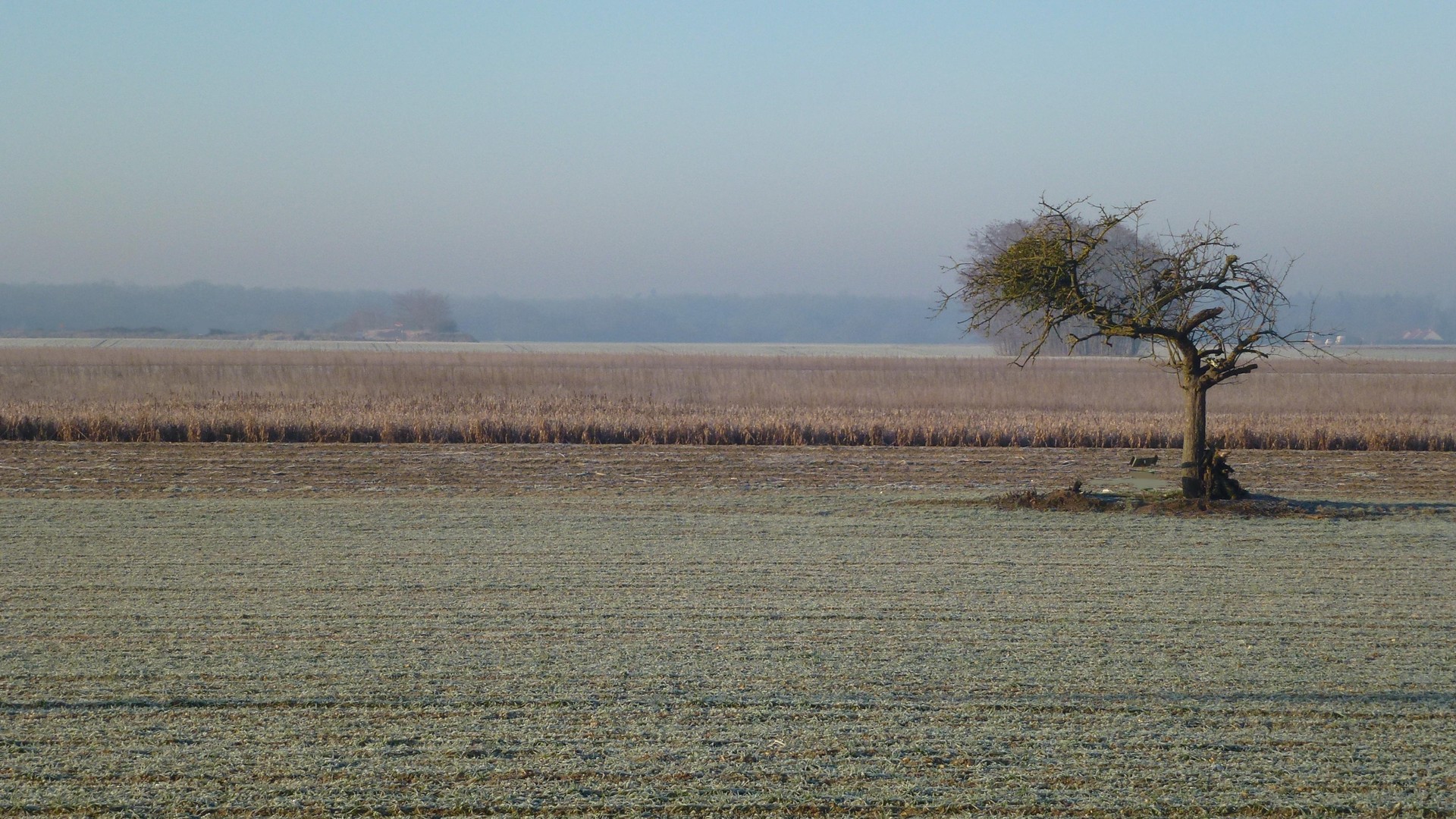 Matin frileux