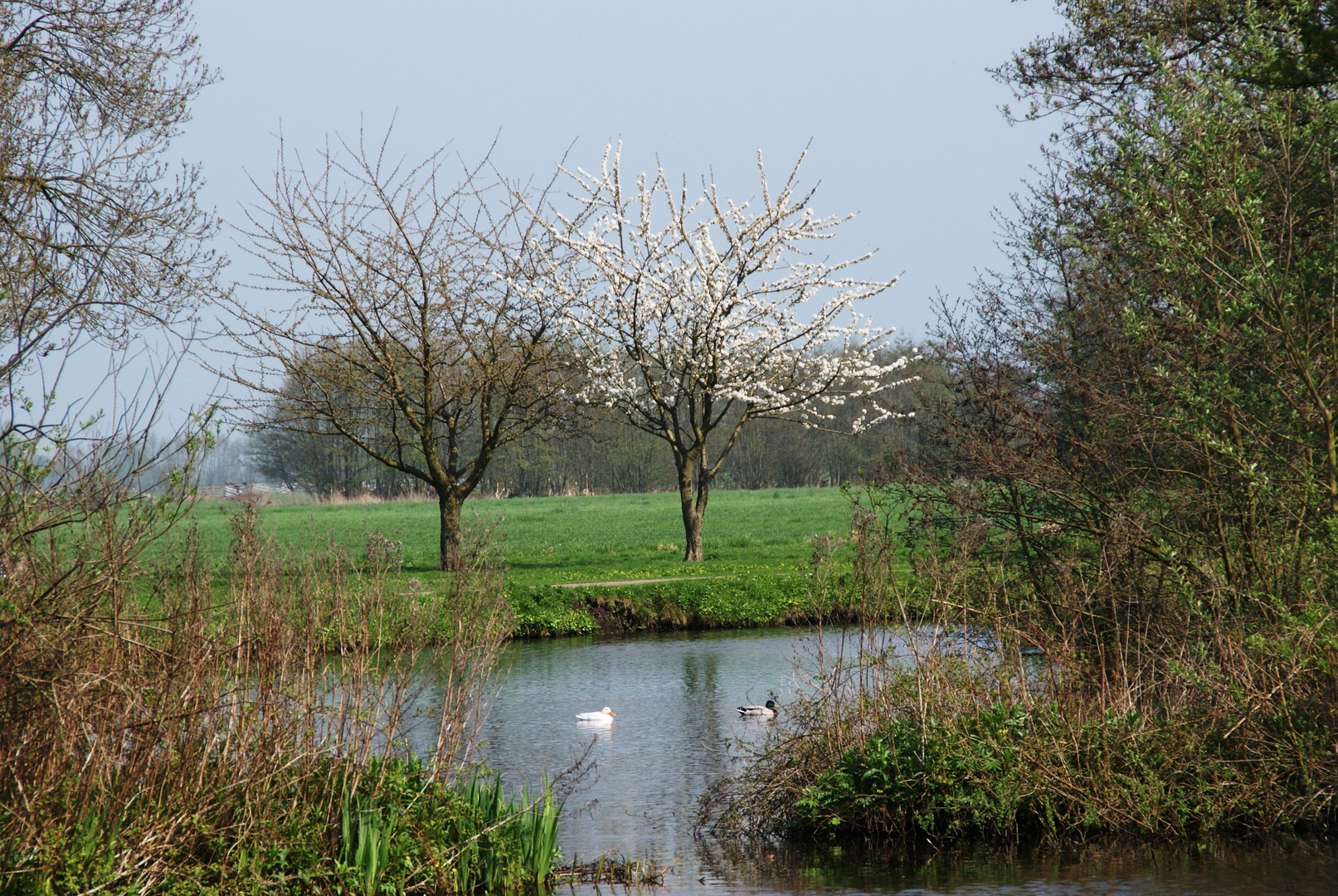 in het park