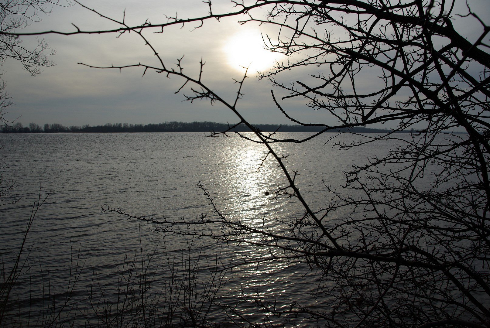 Abend an der Elbe