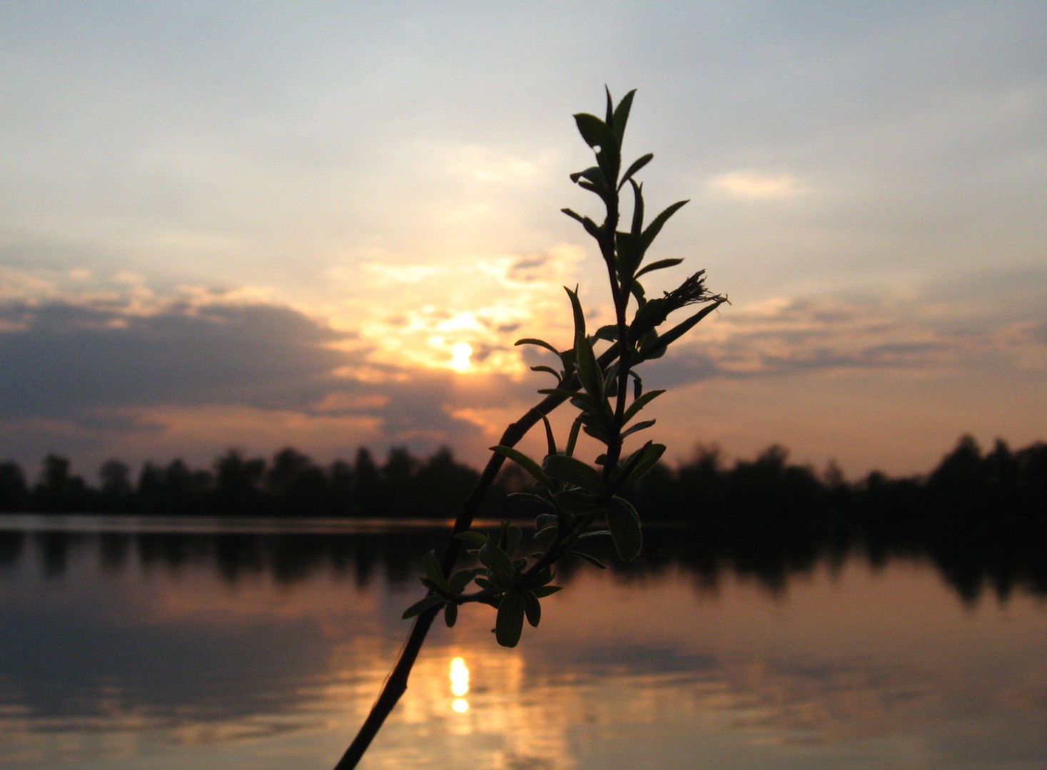 Sonnen am Olchinger See...