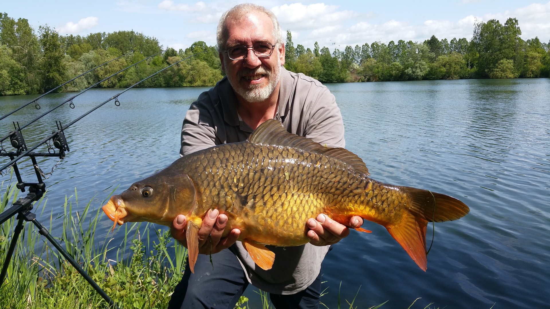 Une superbe carpe prit dans les étangs de Moselle