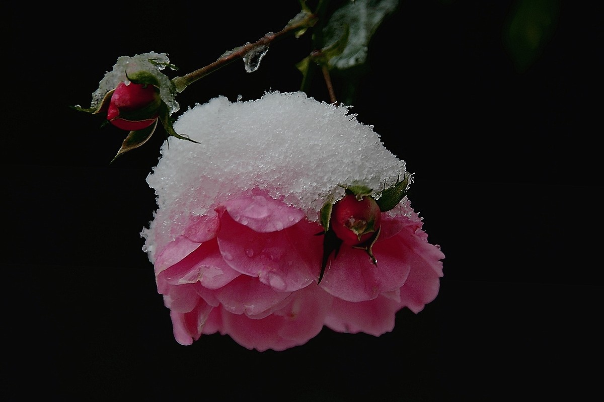 Früher Schnee