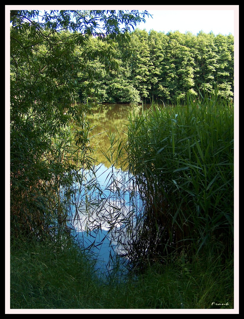 AM WEIHER