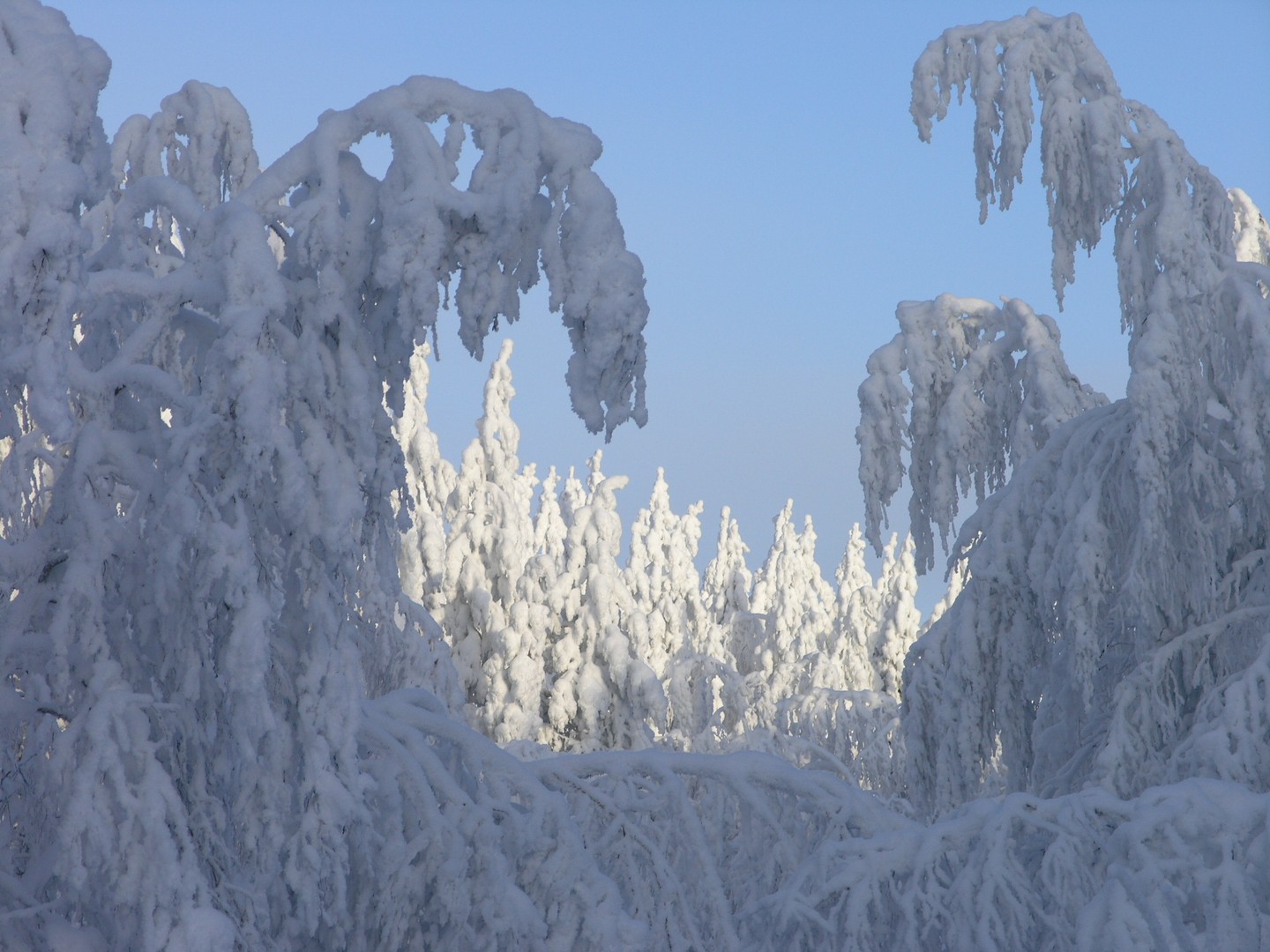 Schnee soweit das Auge reicht