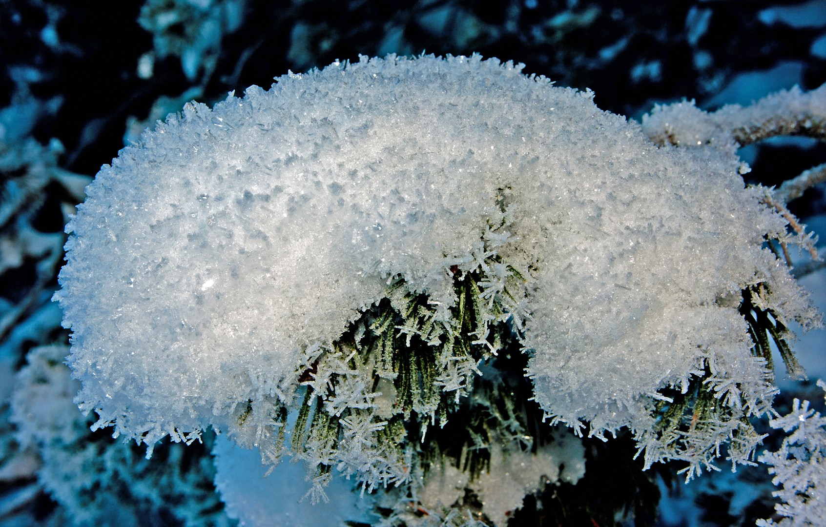 Rauhreif auf Schnee