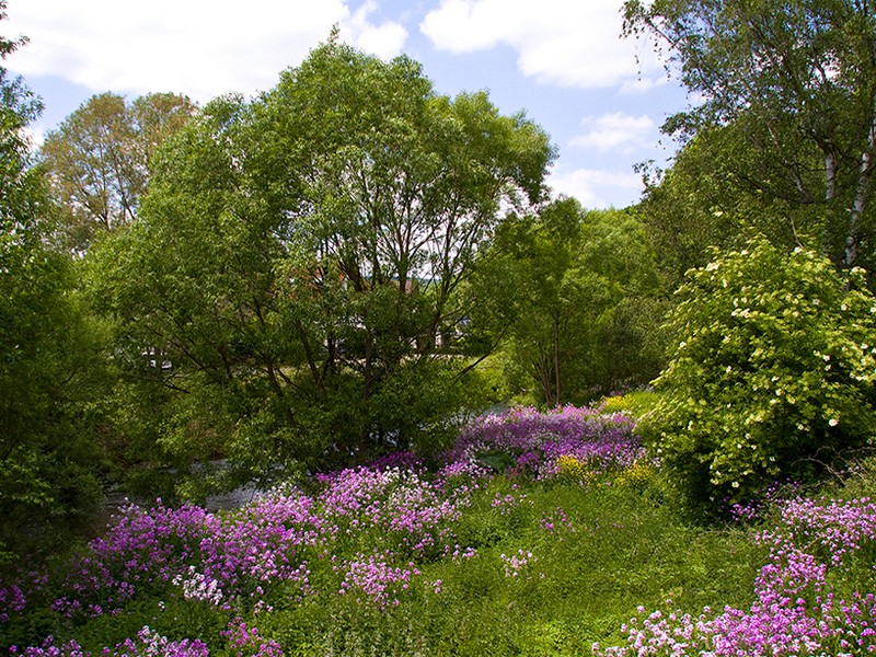 Landschaftsbild an der Urft