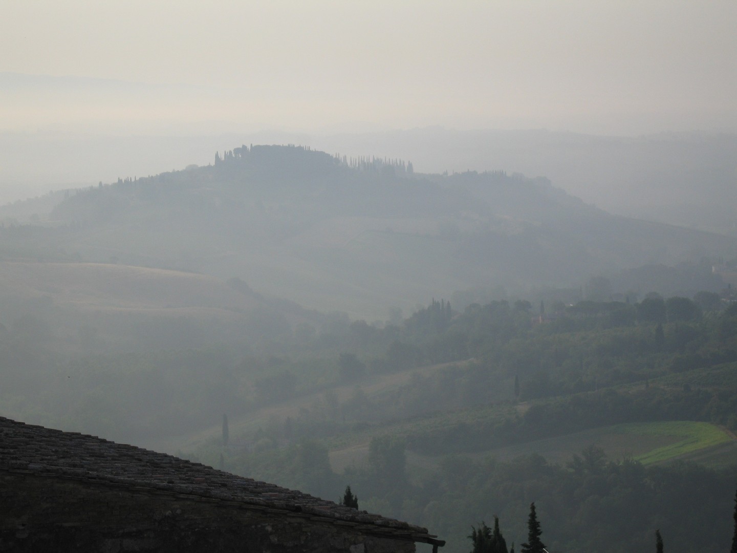 Valley of Mist