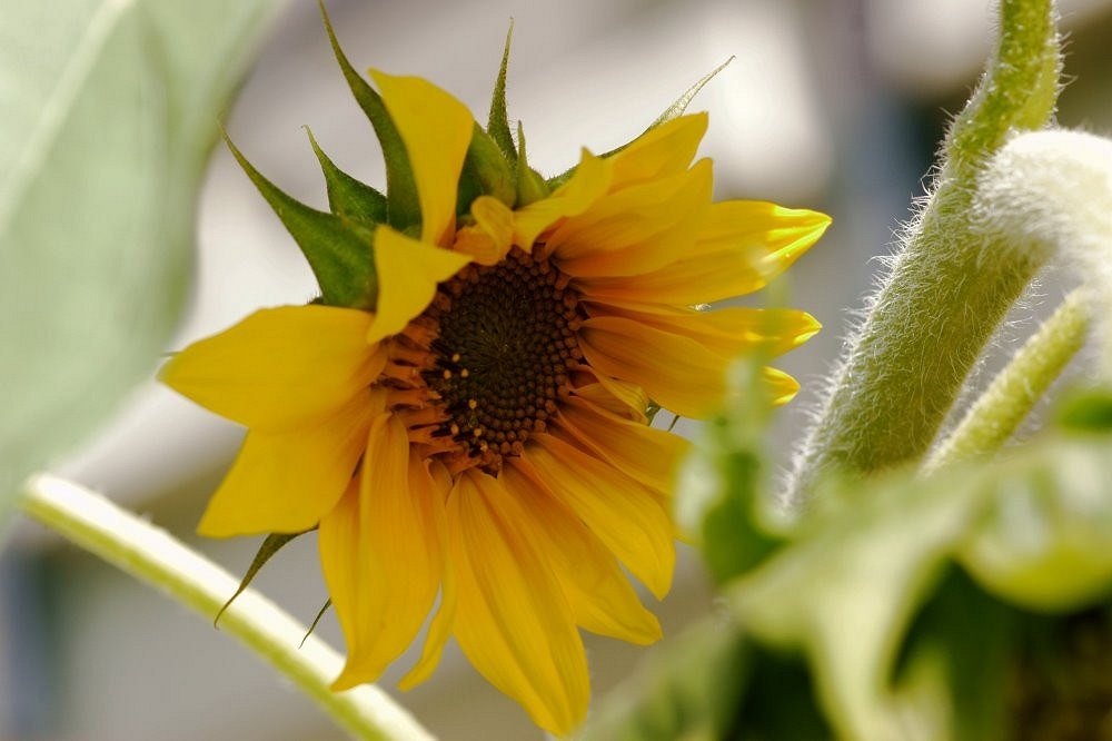 Der Herbst kommt