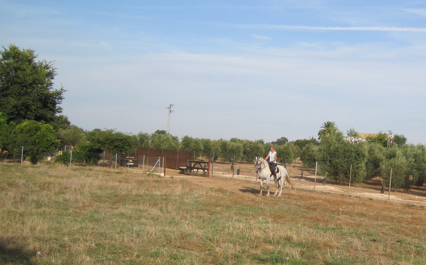 countryside