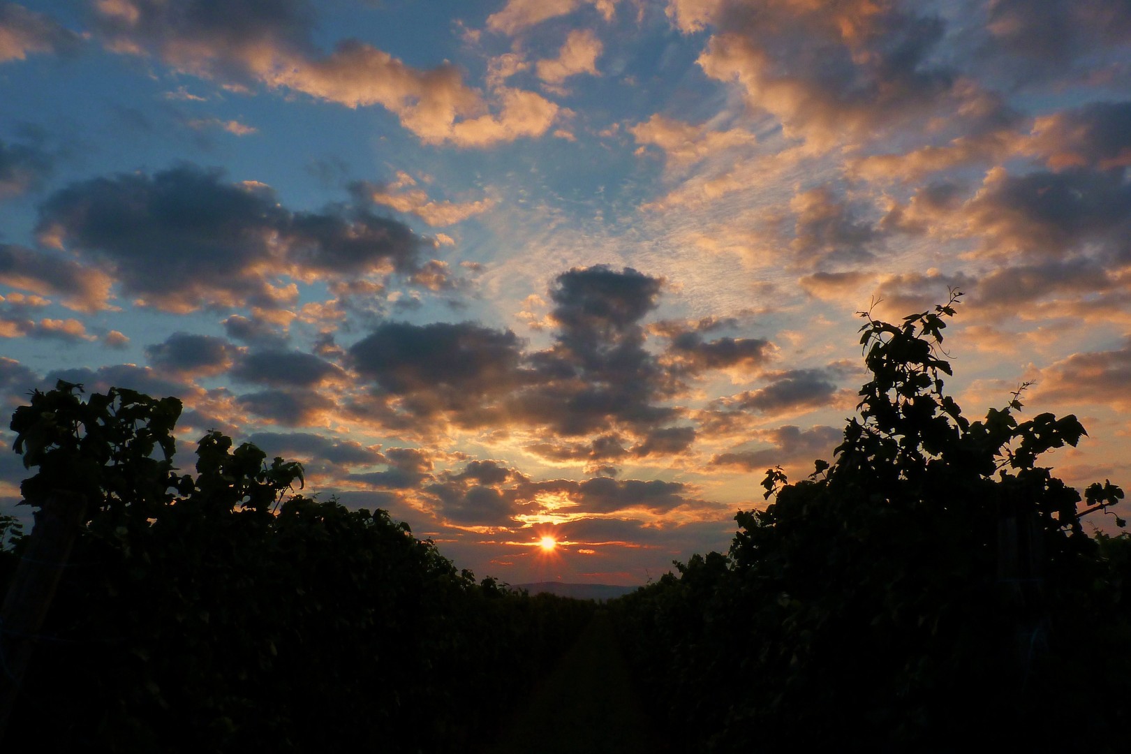 Sonnenaufgang in den Weibergen