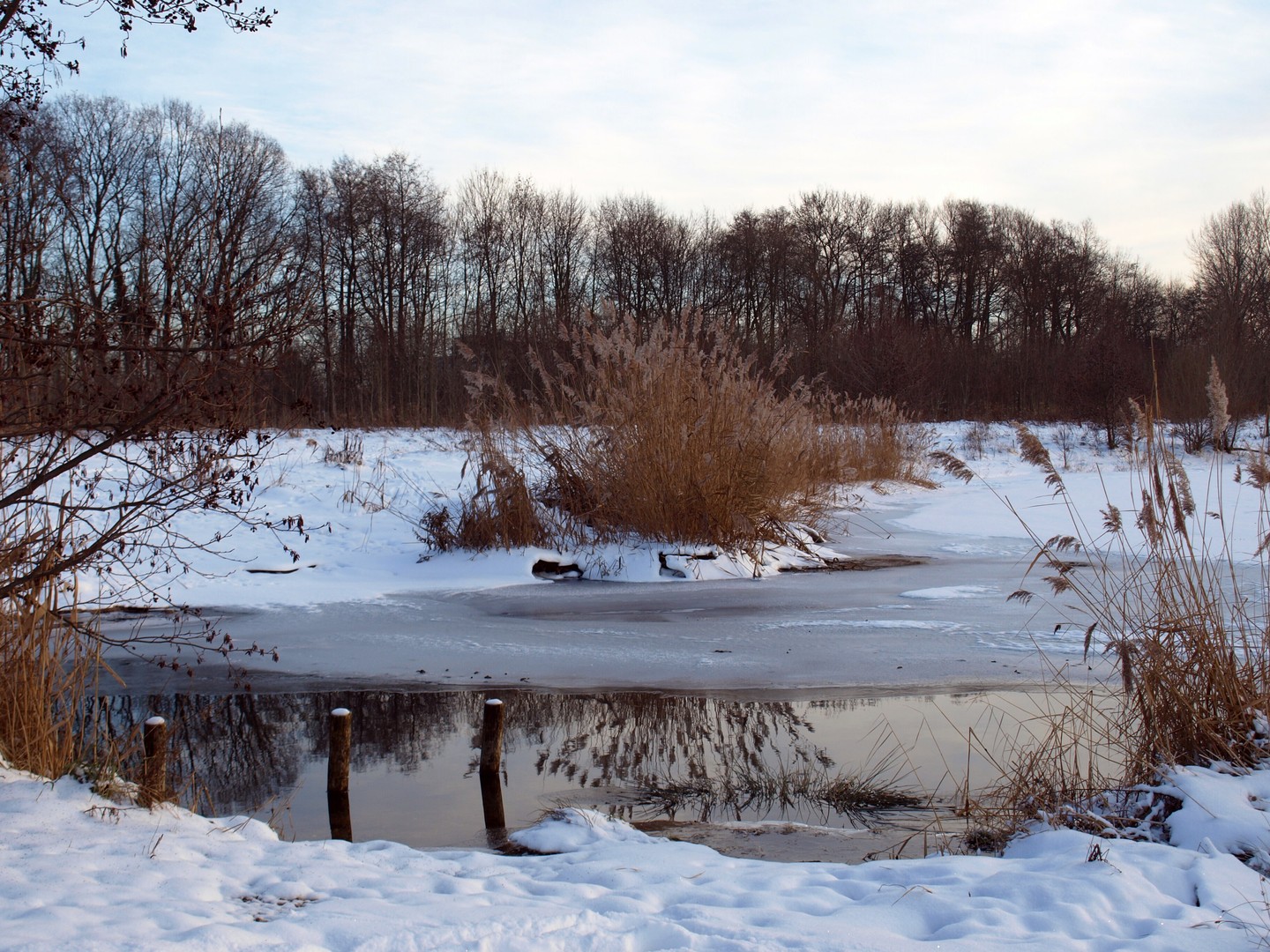 Winter am See