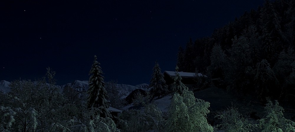 schneelandschaft bei vollmond