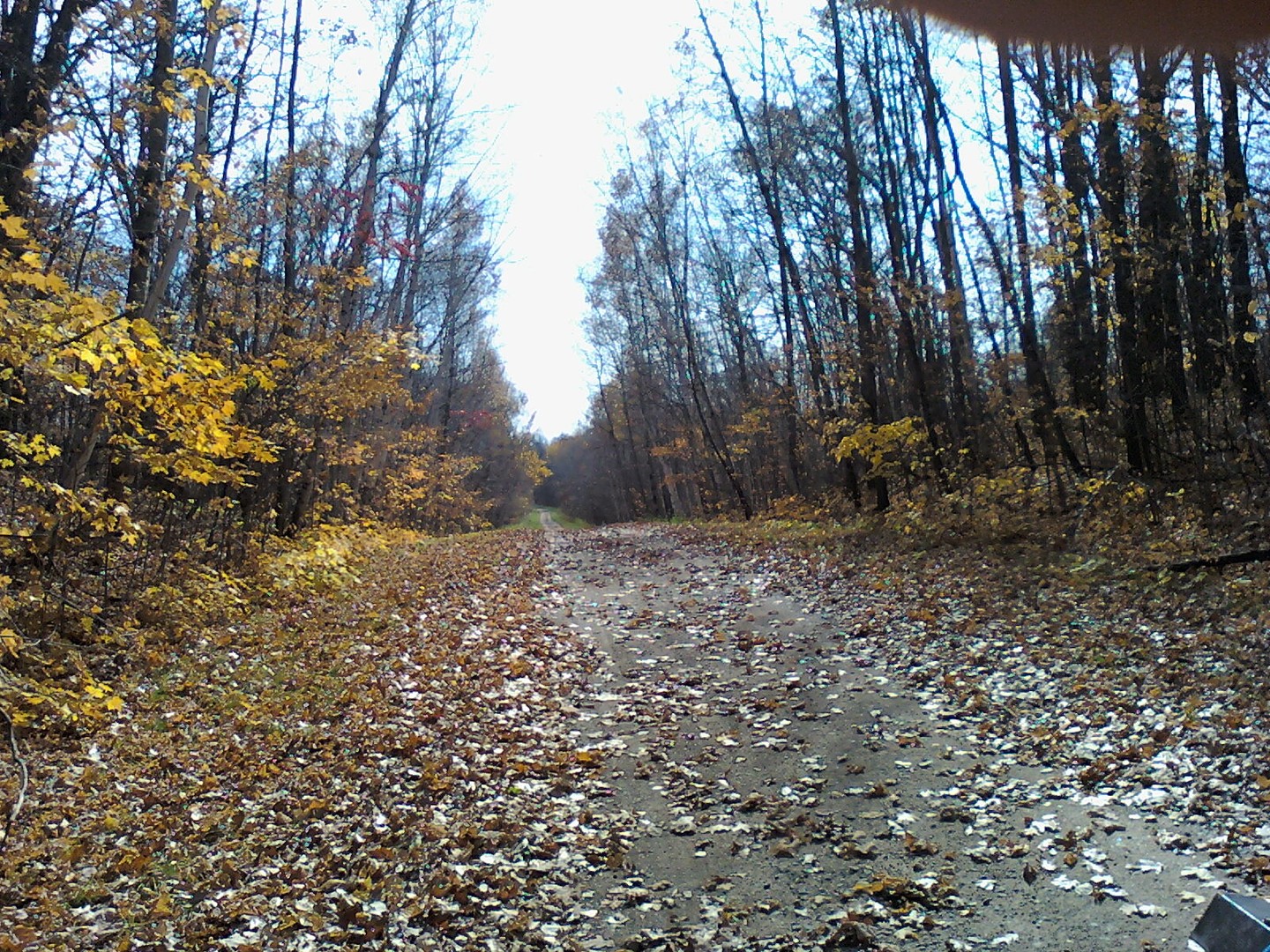 A fall drive in Crow Wing county Minnesota