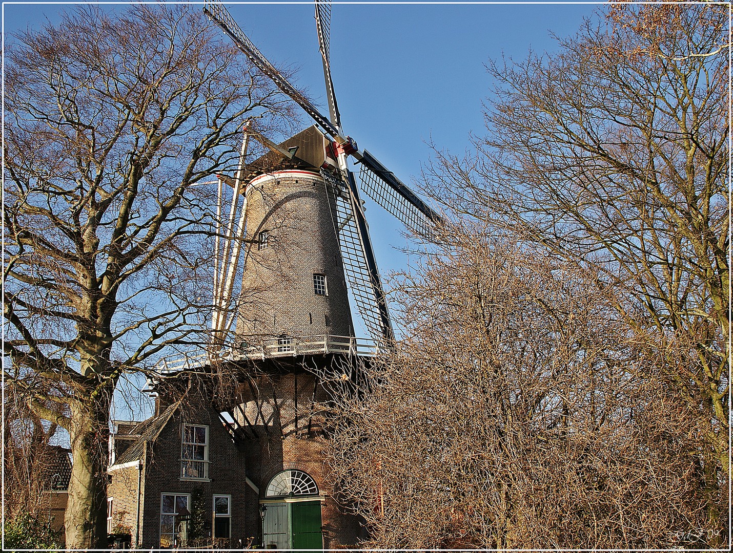 Molen