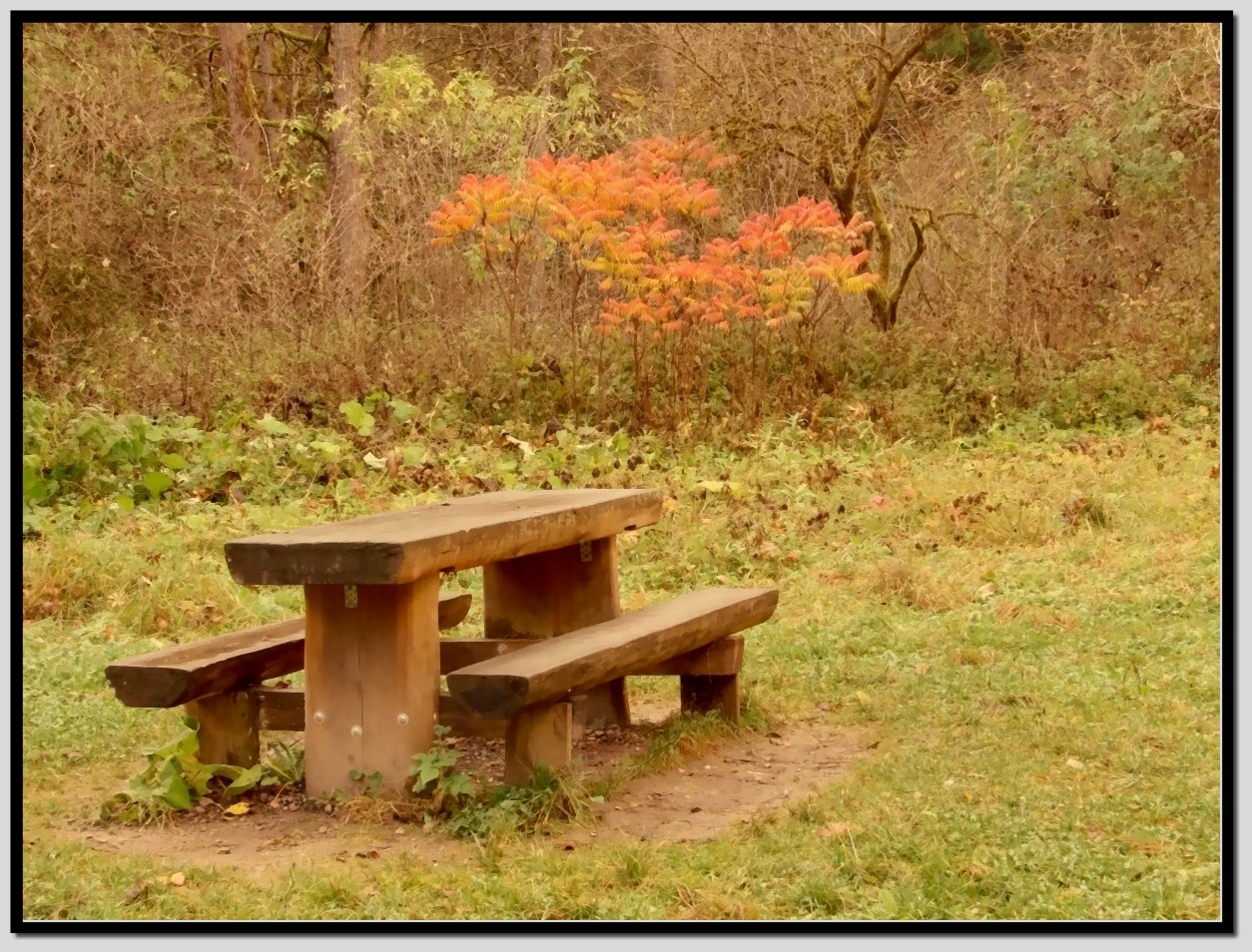 Sitzplatz im Herbst