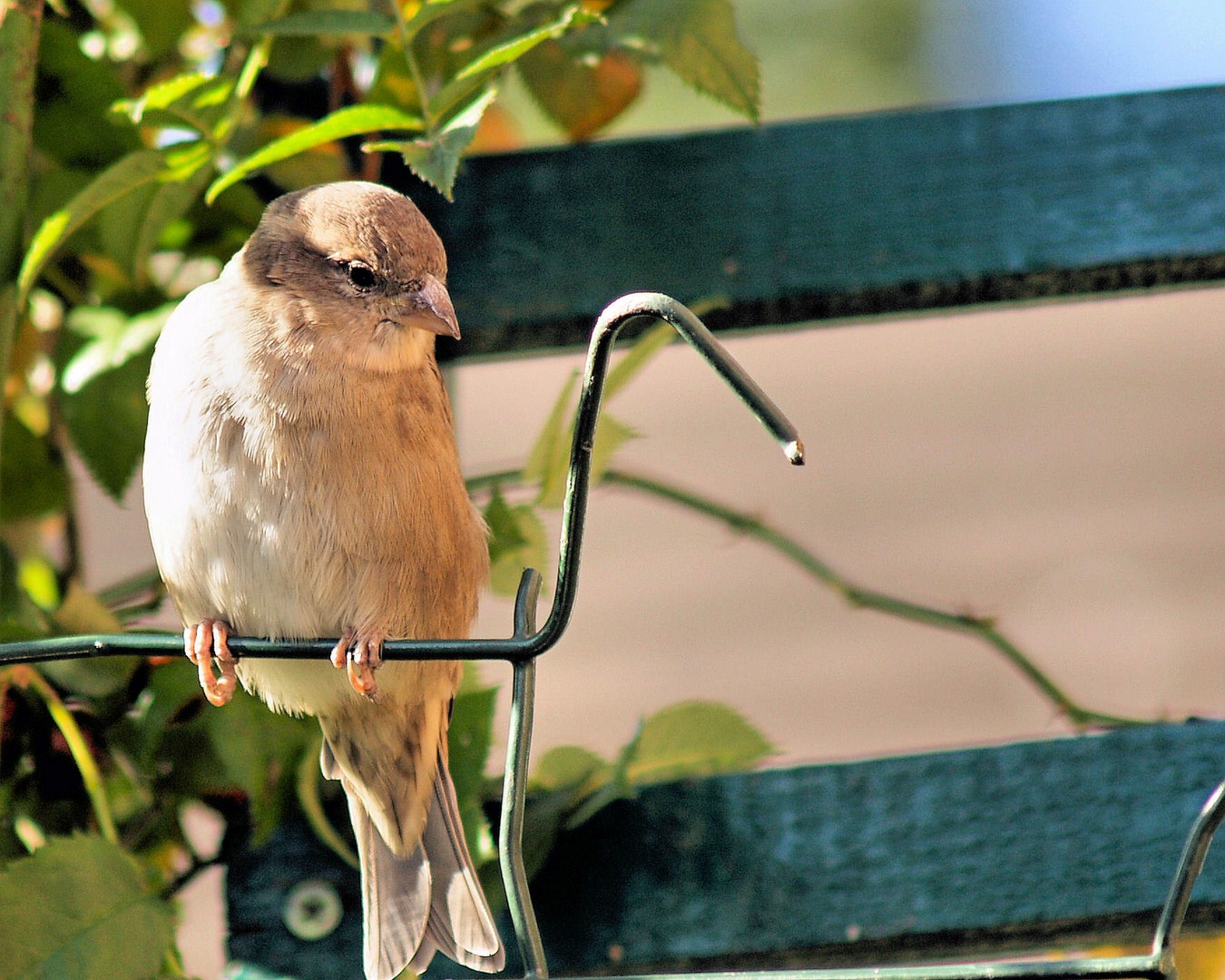 Time for a rest