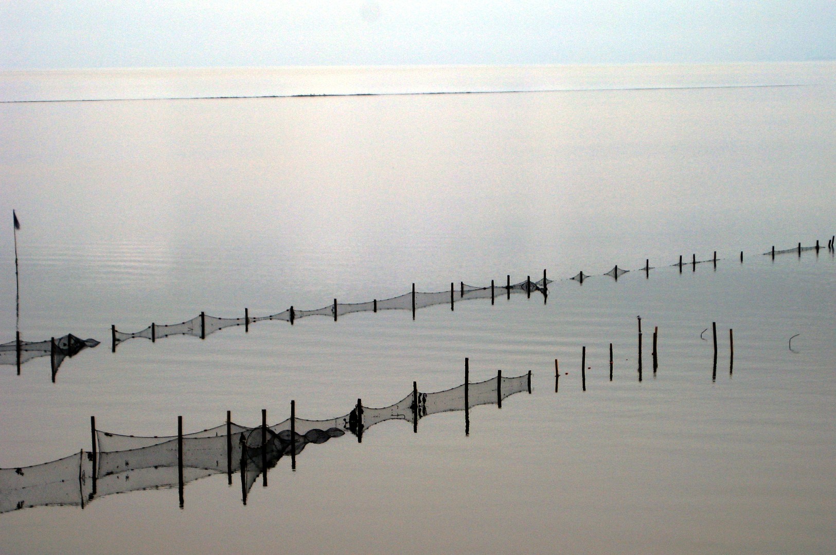 Fischreusen im Rantumer Becken