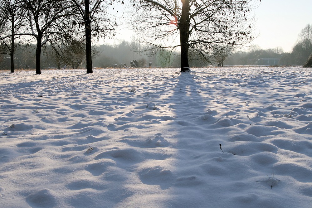 Lange Schatten