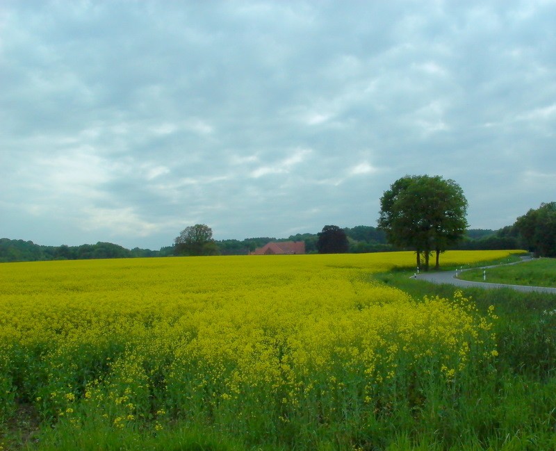 Landschap bij Osnabruck