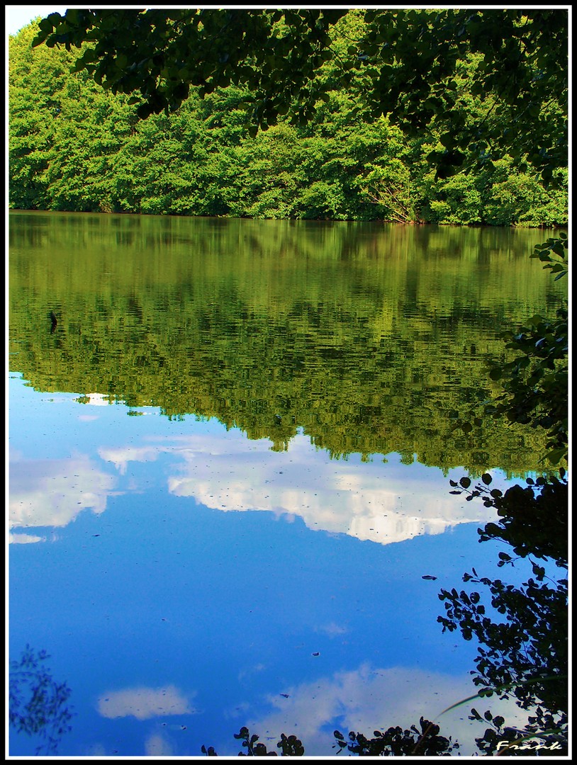 AM WEIHER (416)