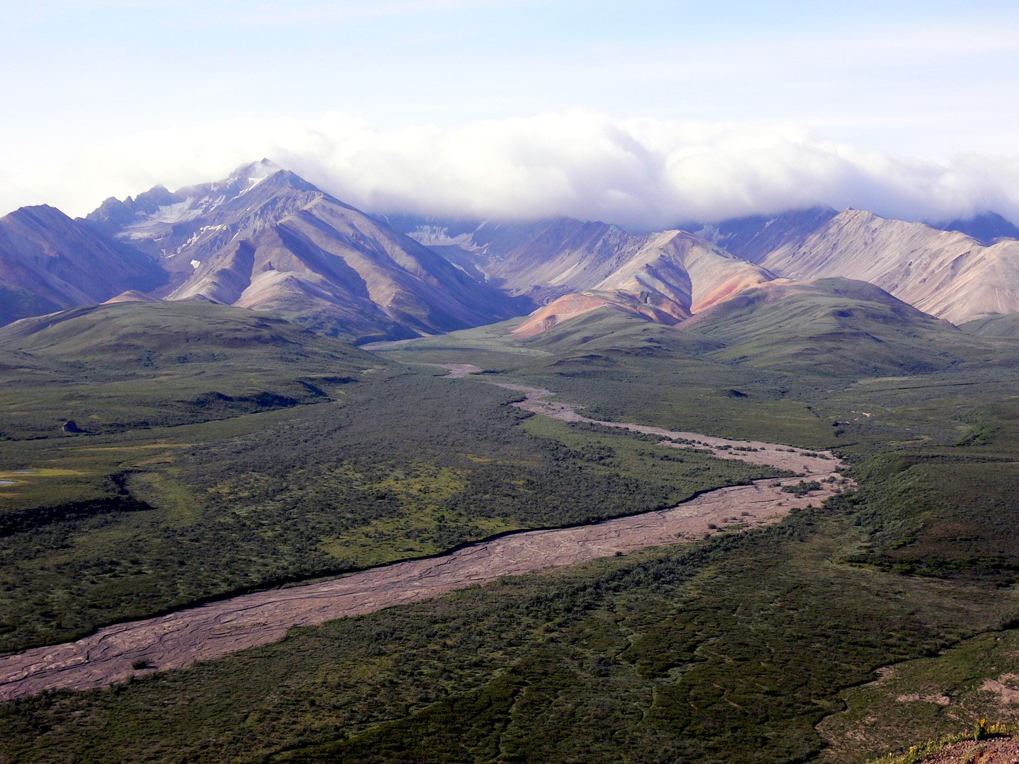 Denali