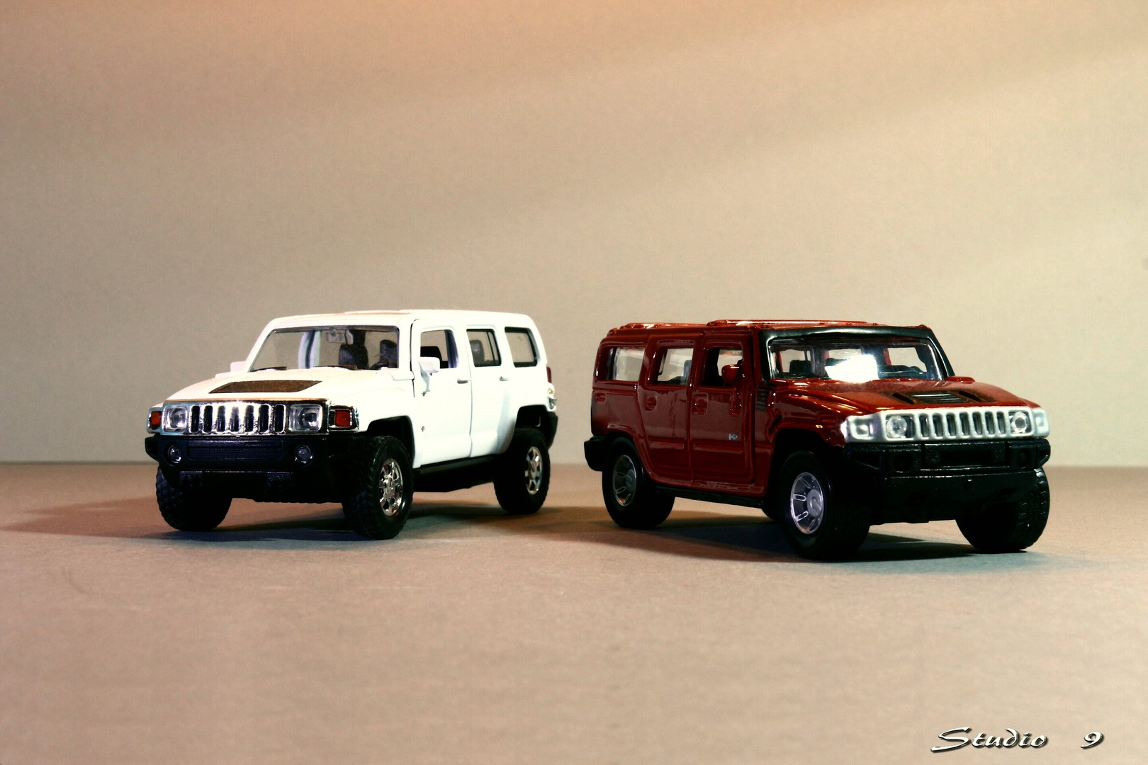 2x HUMMER - 1x roh - 1x gekocht