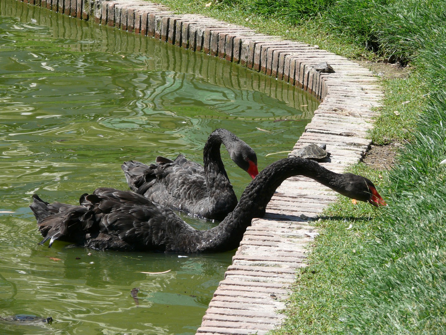 parque del retiro