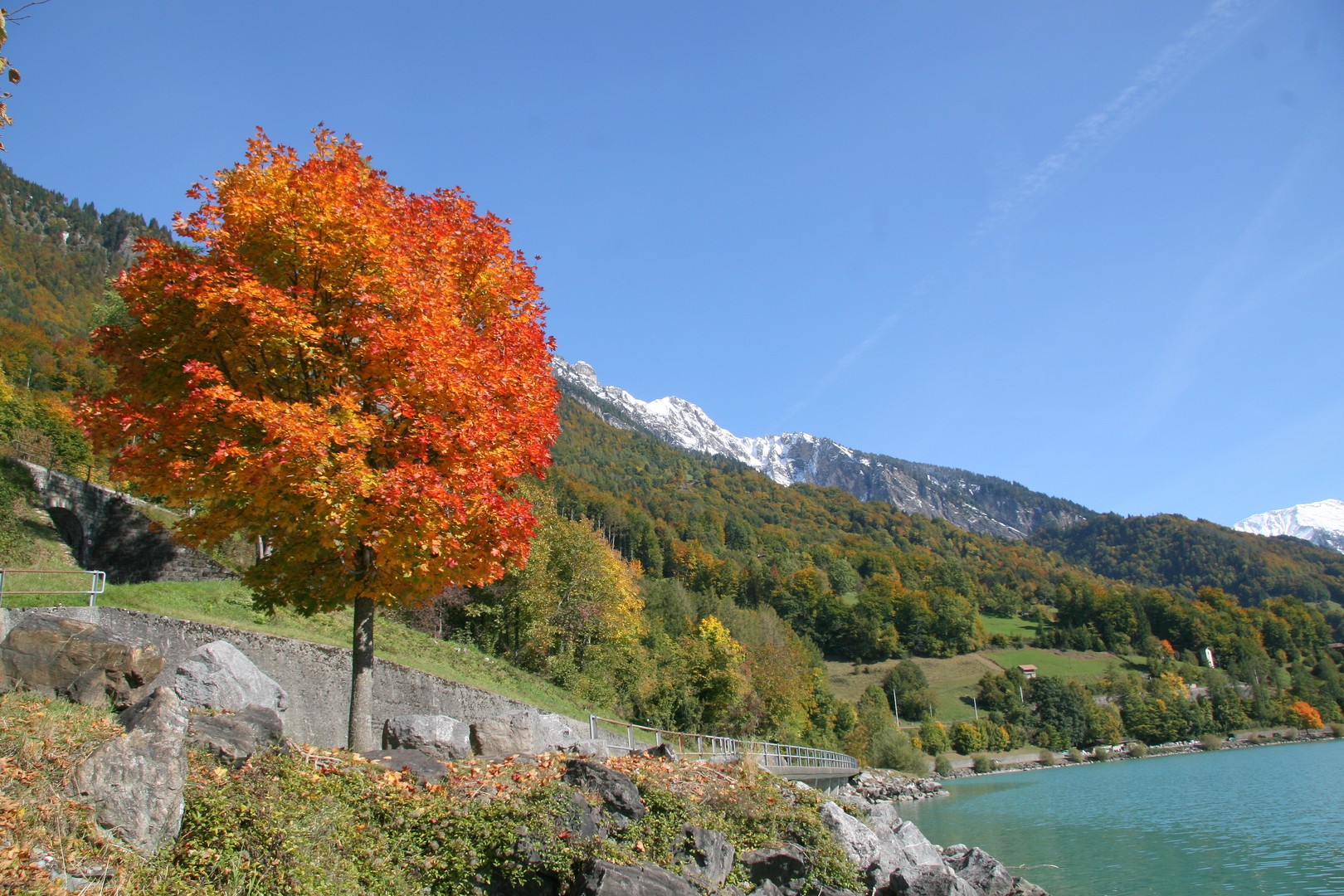 Goldener Herbst