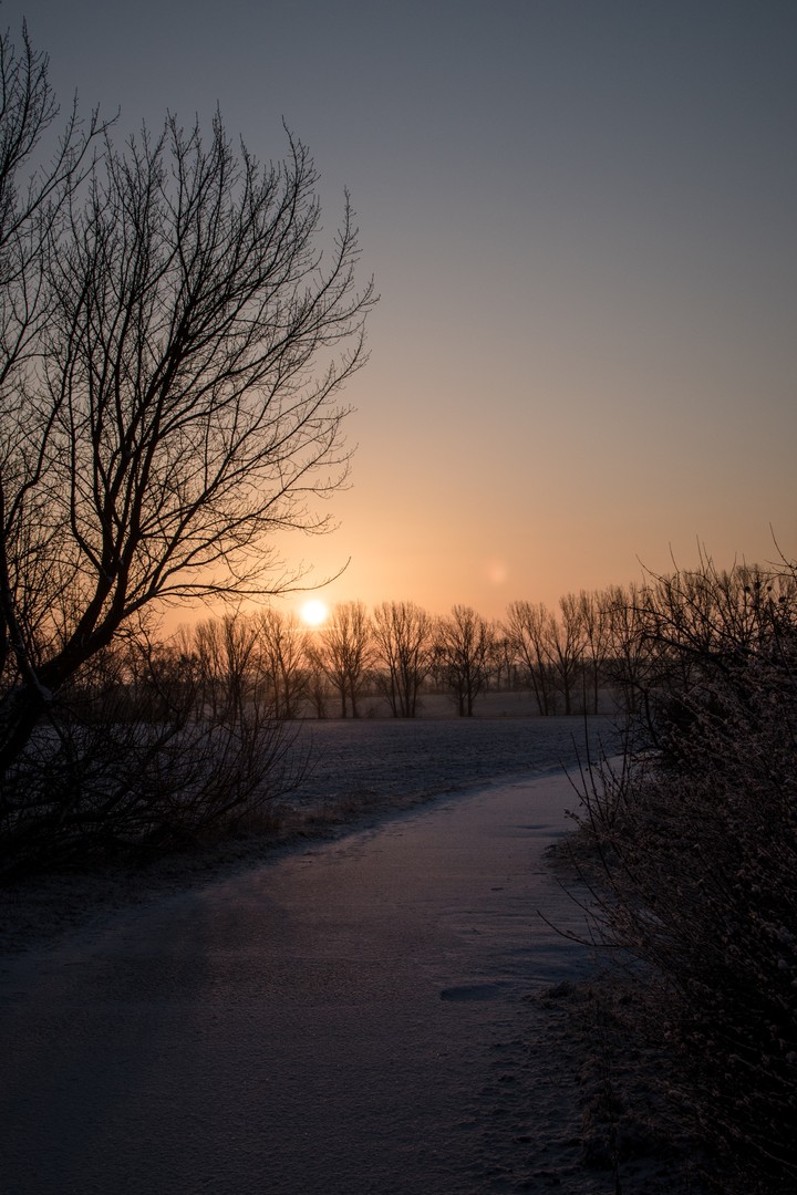 ... Feldweg am Morgen ...