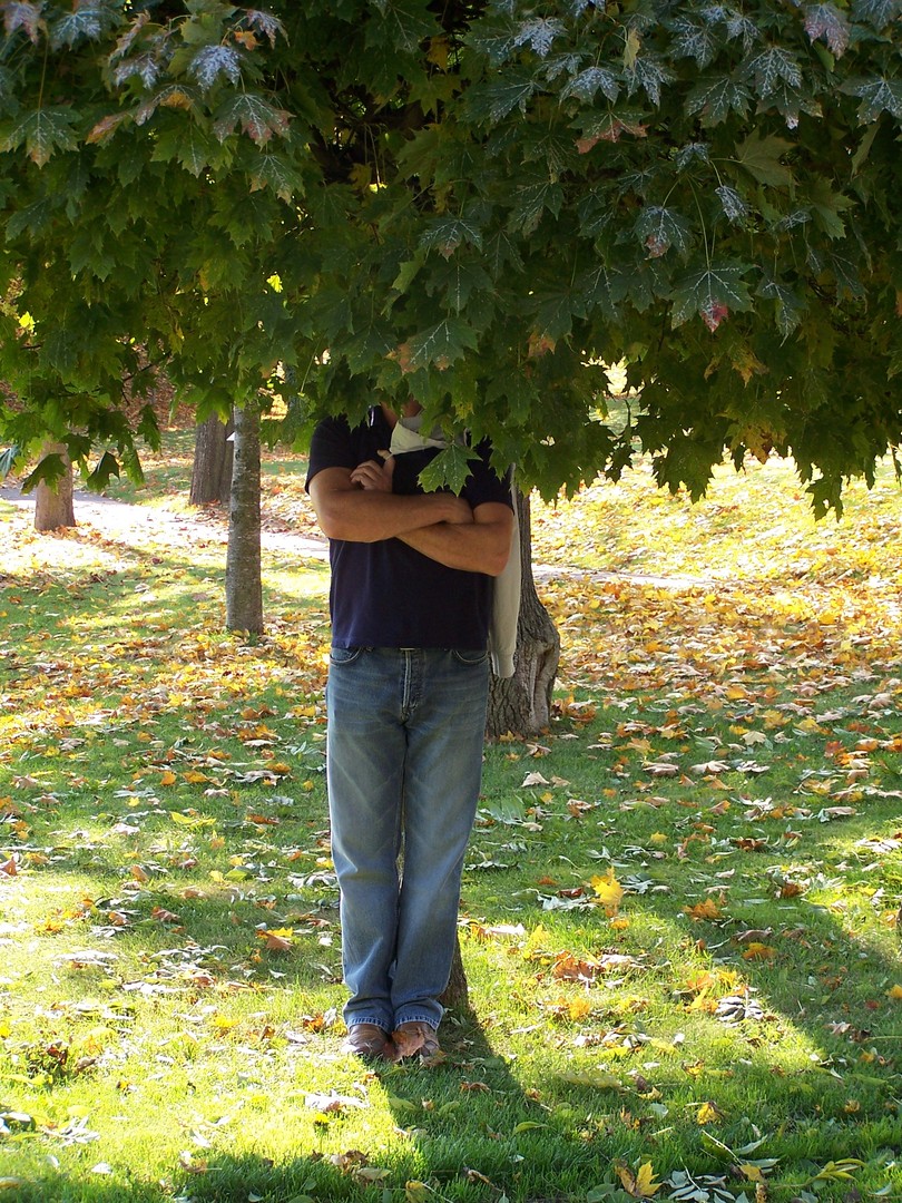 Ein Mann im,untern Baum