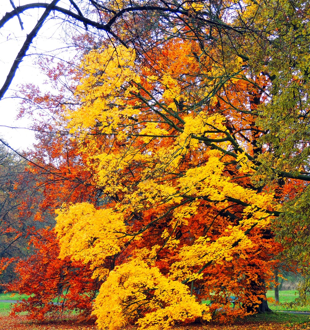 Herbstfarben