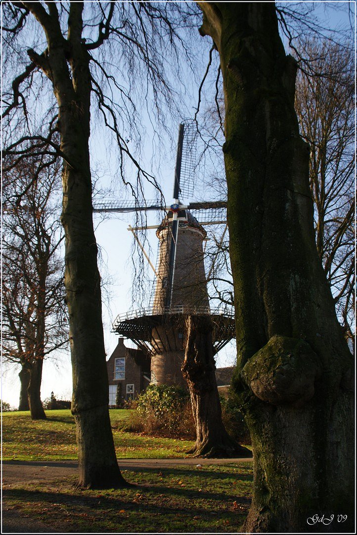 Molen