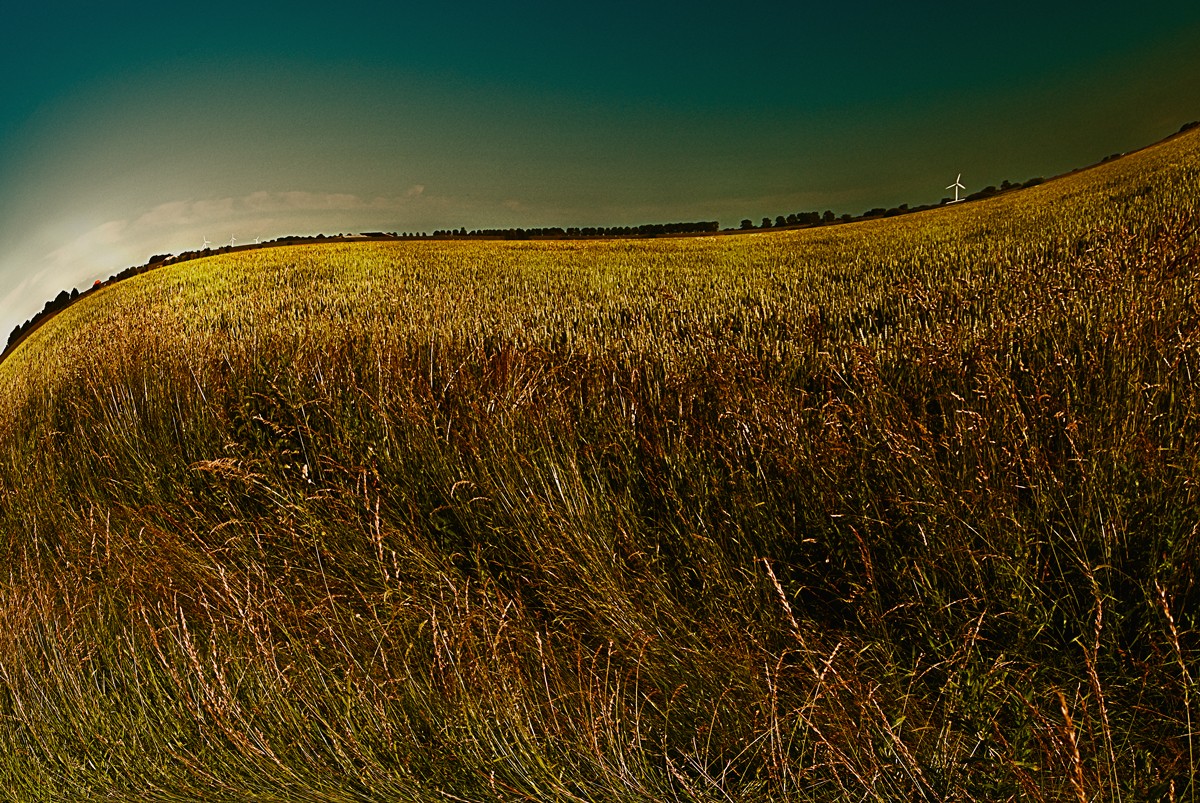 Feld aber was für eins?