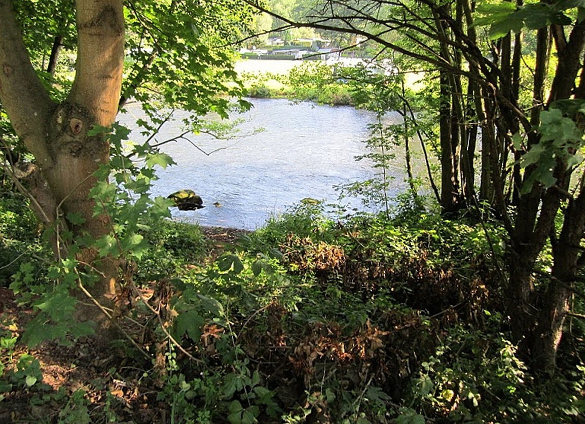 Auf dem Weg zum Rursee