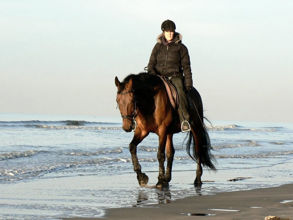 Aan het strand