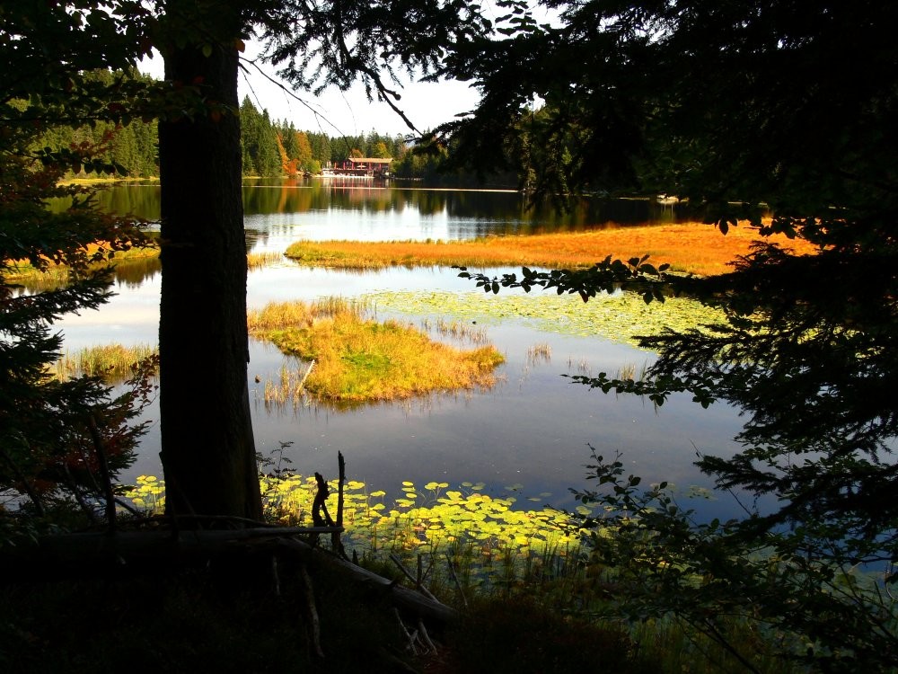 Grosser Arbersee/Bay. Wald