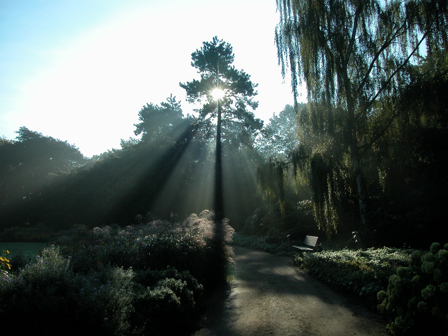 Früh am Morgen