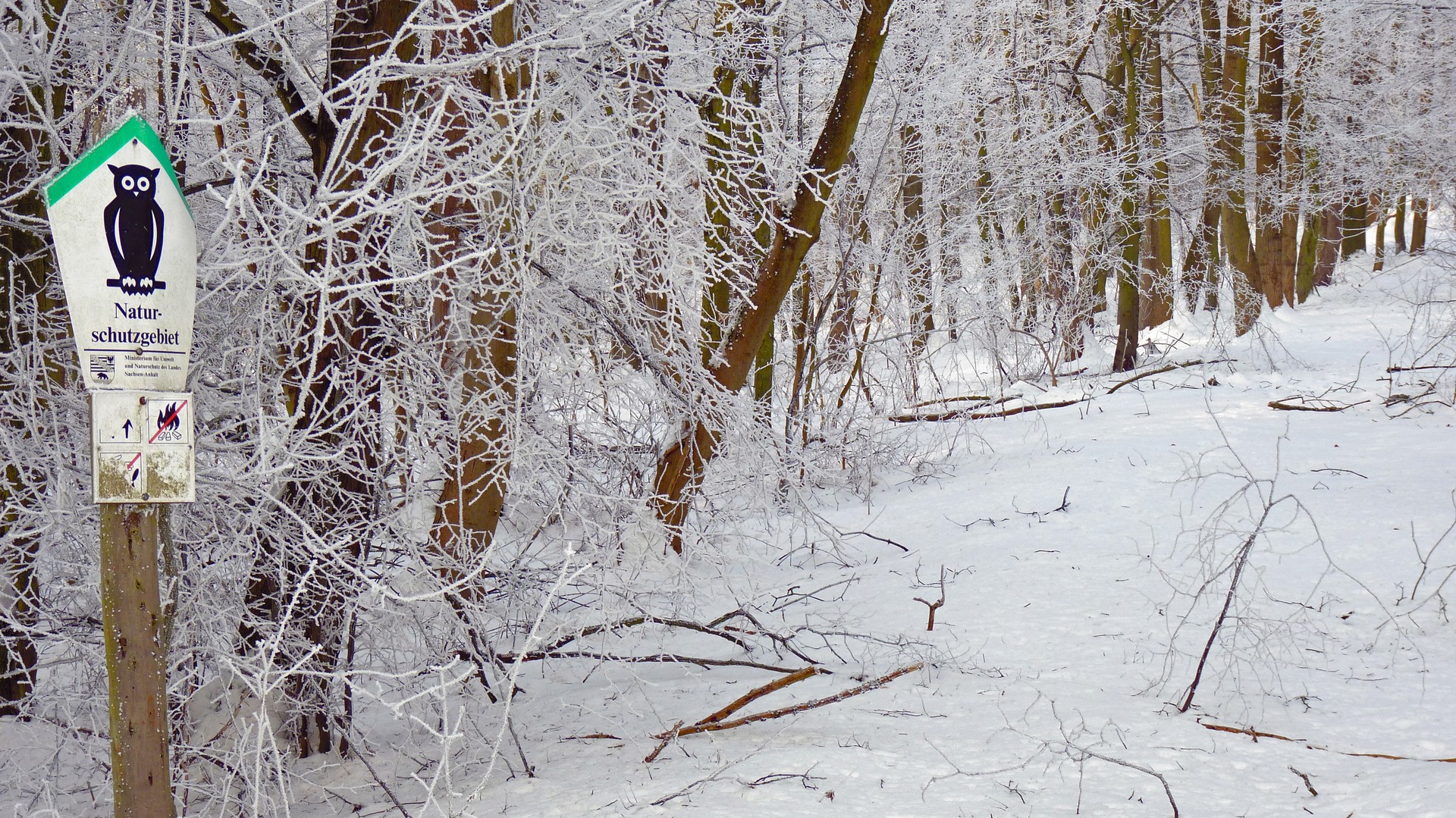 WINTER IM NATURSCHUTZGEBIET