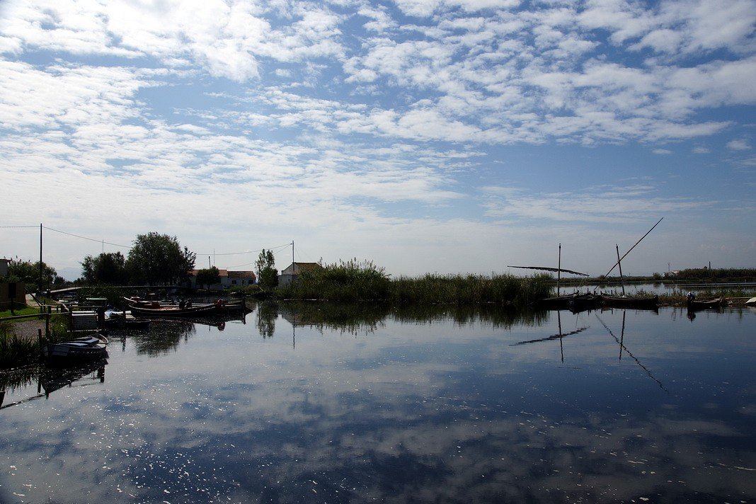 Le Mirroir des rizières bleues