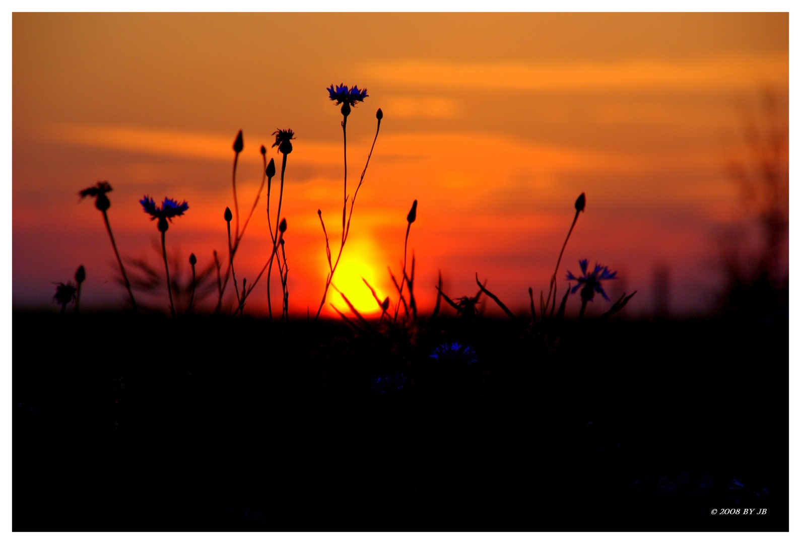 blue and orange