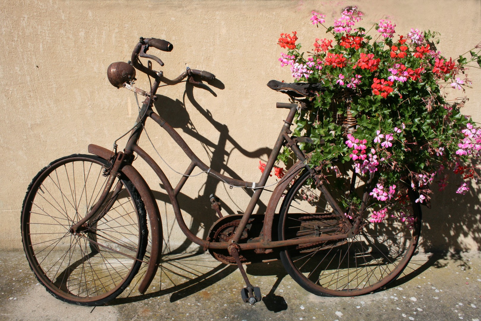 Vélo fleuri