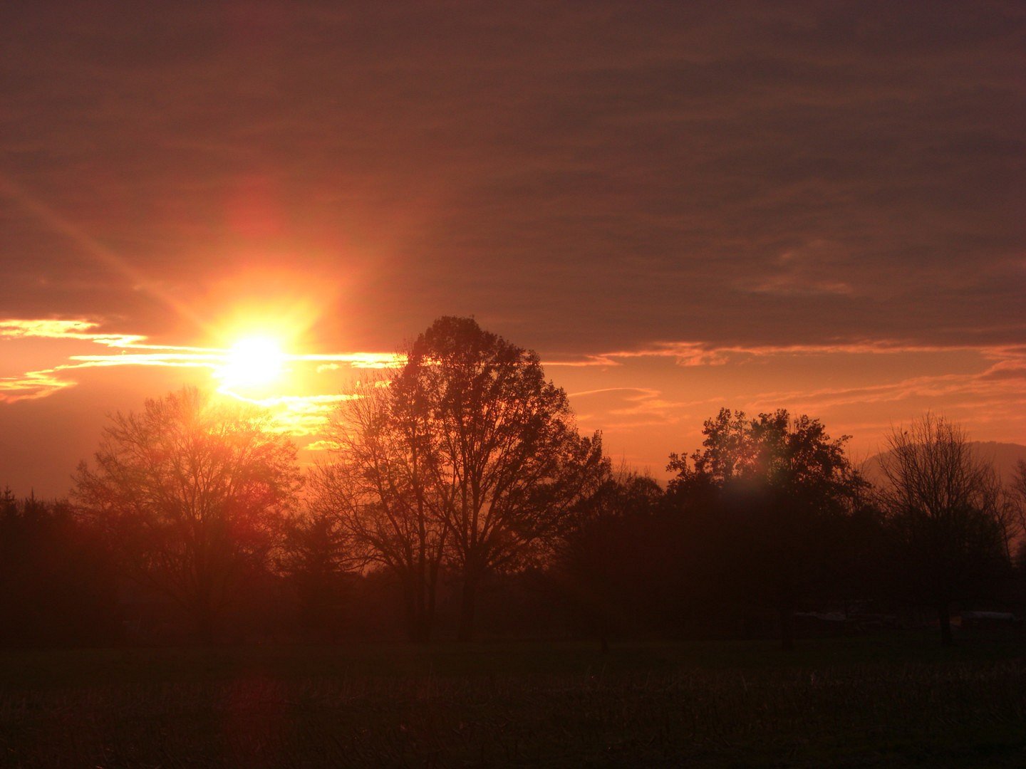 Sonnenuntergang im Lustenauer-Ried 2