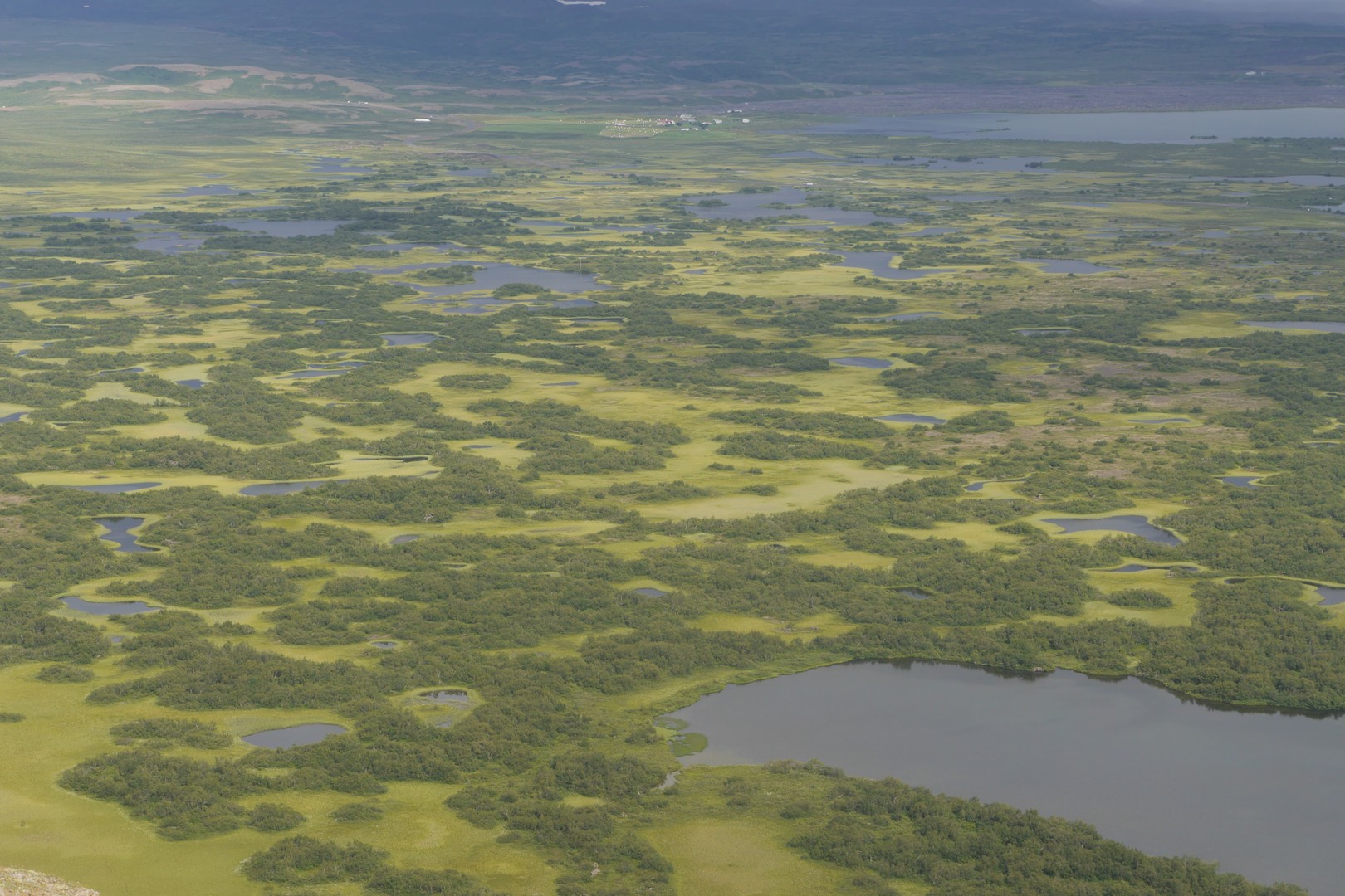 Vindbelgur Islande lac Myvàtn