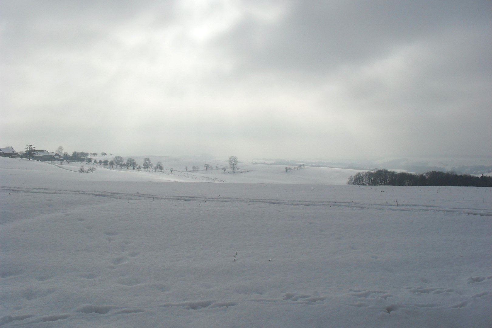 paysage hivernal