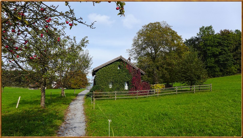 Herbststimmung Schweiz - Zürcher Oberland